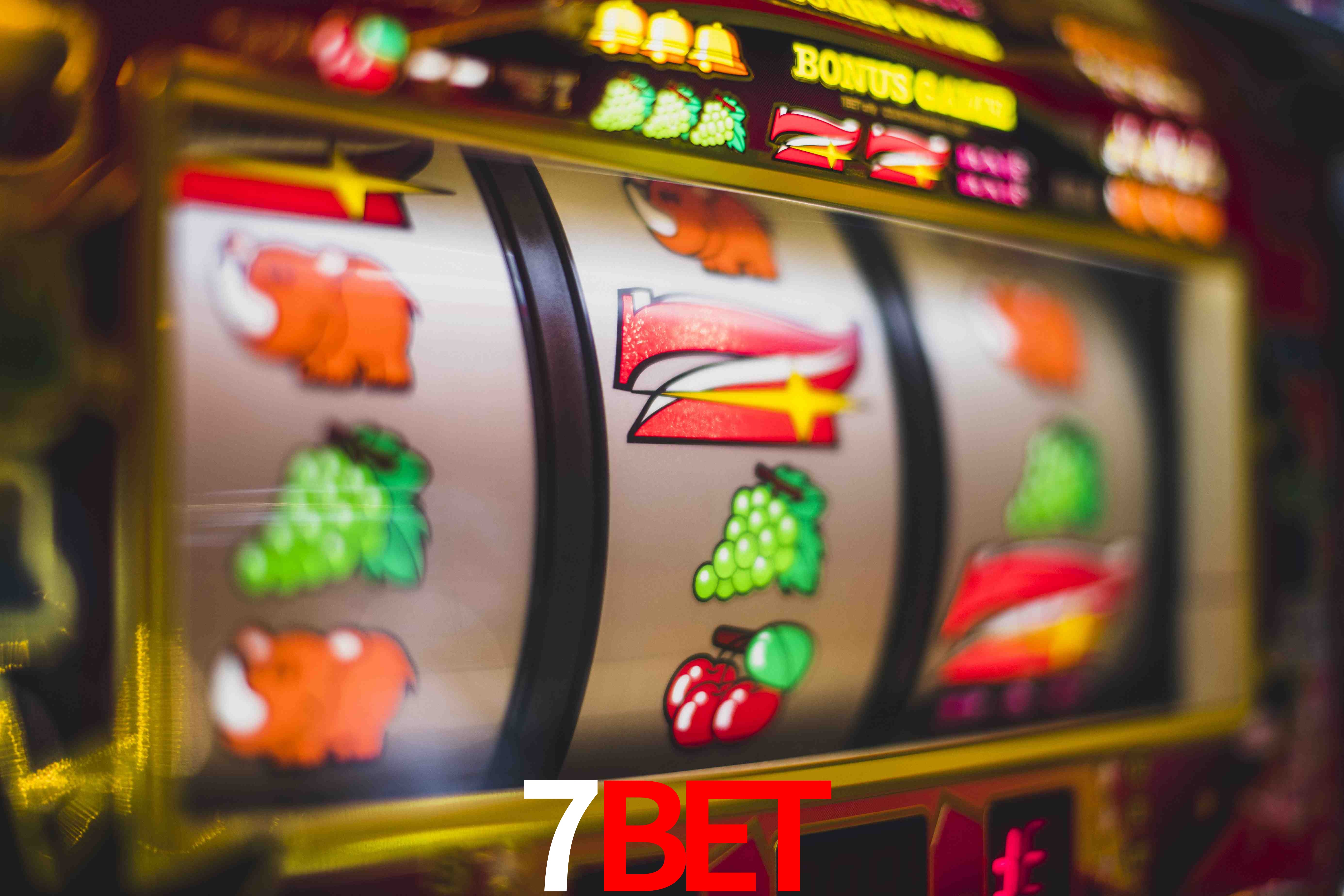 Experiência VIP 7bet